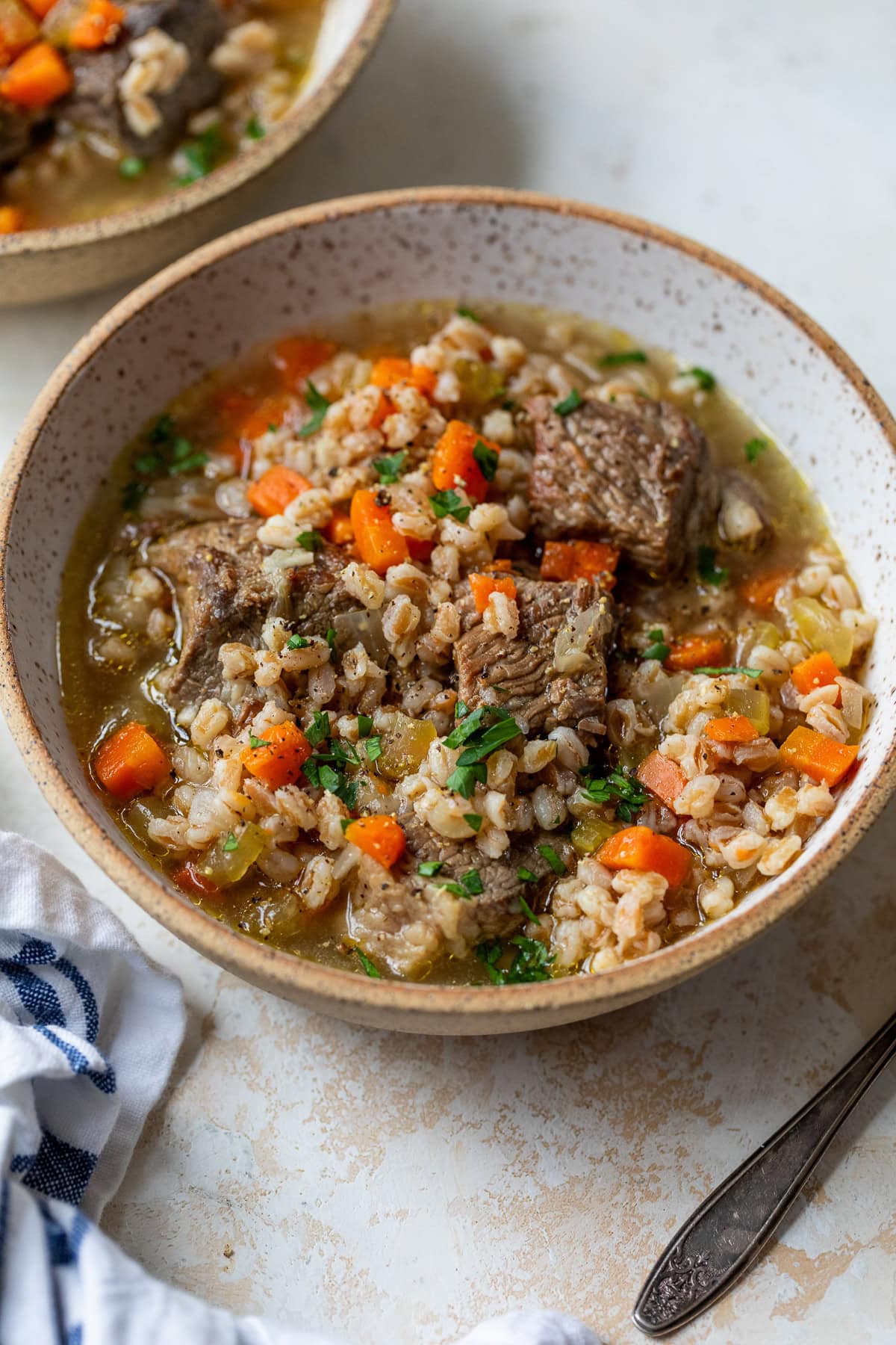 Beef Barley Soup