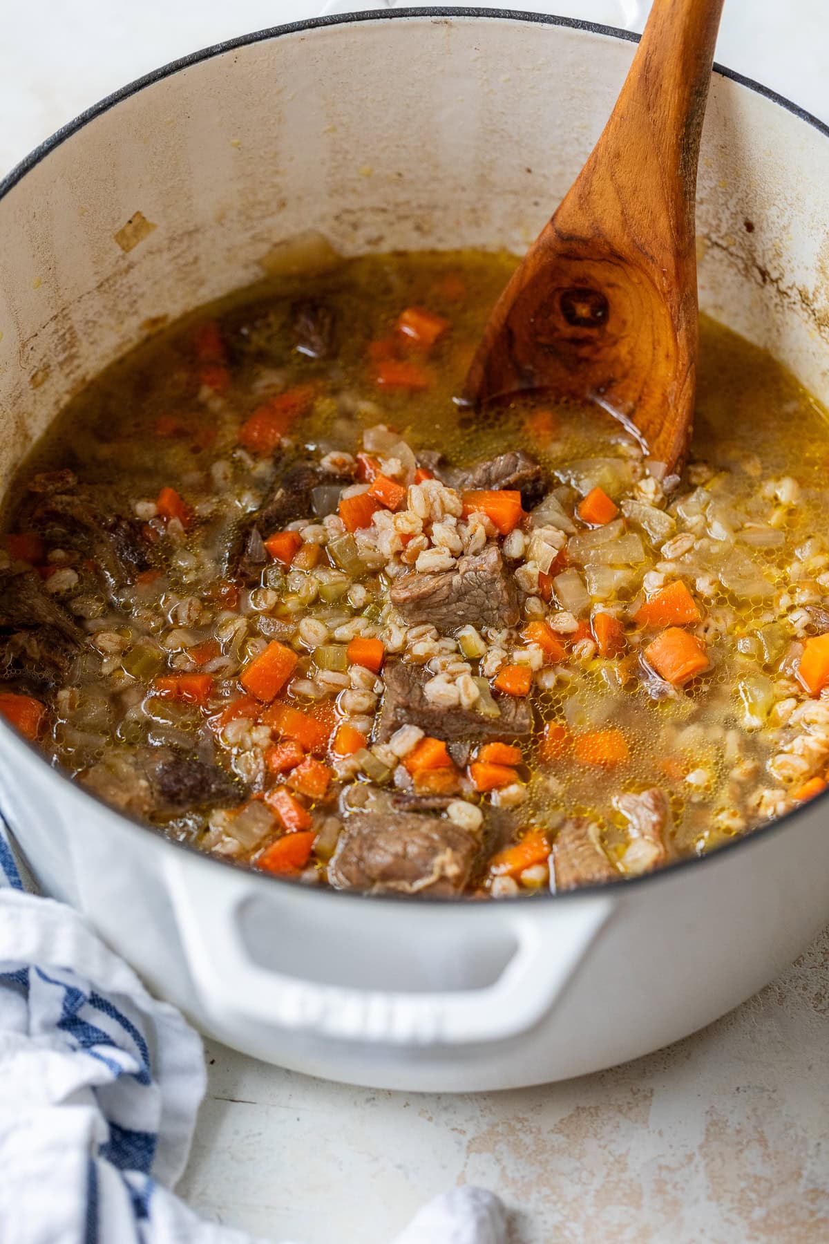 Beef Barley Soup