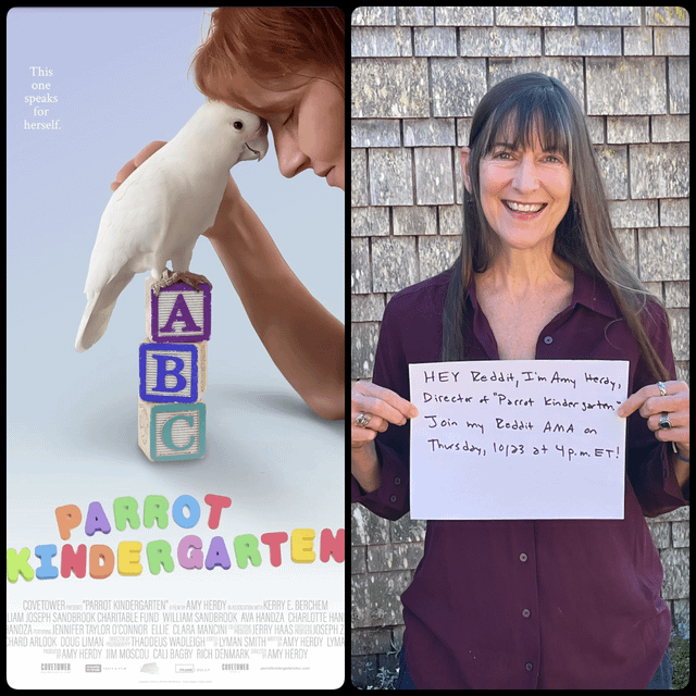 Hi-reddit-Im-Amy-Herdy-My-newest-documentary-PARROT-KINDERGARTEN.png