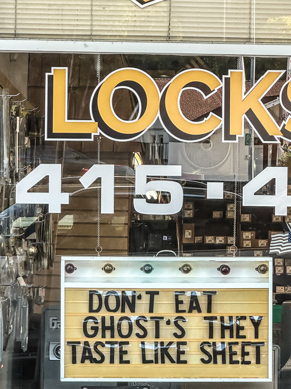 My Everyday Life Week 44 of 2025- Tracy Benjamin of Shutterbean.com