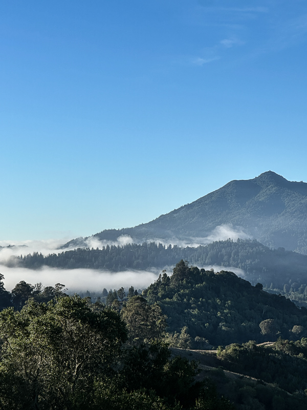 My Everyday Life Week 44 of 2025- Tracy Benjamin of Shutterbean.com