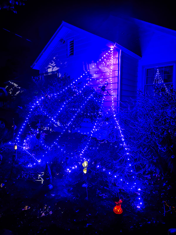 My Everyday Life Week 44 of 2025- Tracy Benjamin of Shutterbean.com