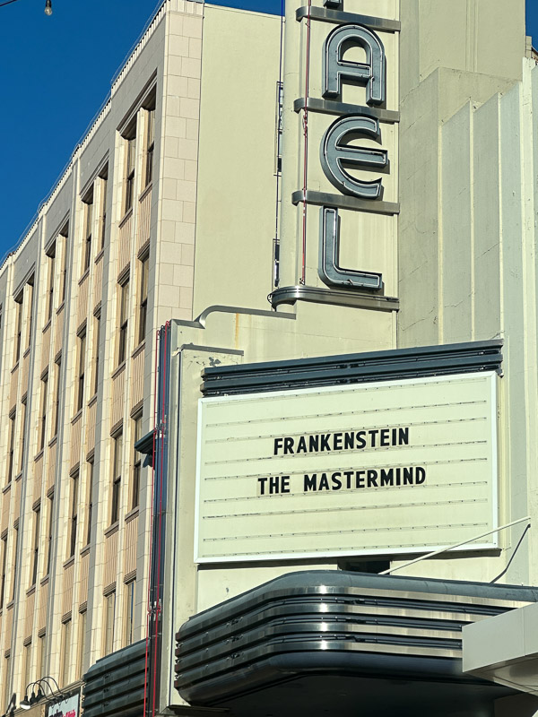 My Everyday Life Week 44 of 2025- Tracy Benjamin of Shutterbean.com