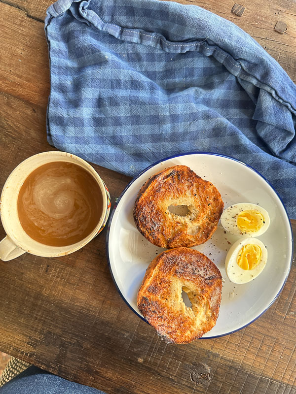 My Everyday Life Week 44 of 2025- Tracy Benjamin of Shutterbean.com