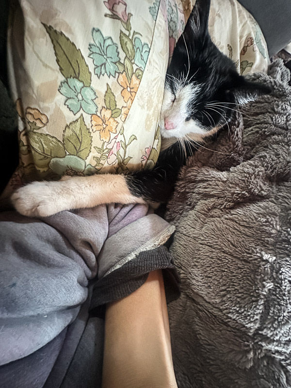 My Everyday Life Week 02 of 2026- Tracy Benjamin of Shutterbean.com