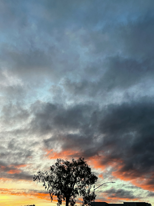 My Everyday Life Week 02 of 2026- Tracy Benjamin of Shutterbean.com