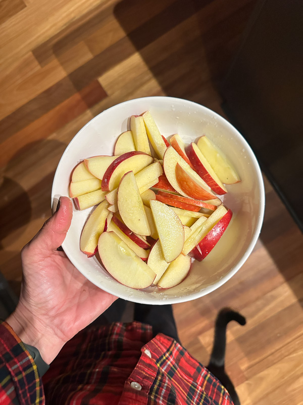 My Everyday Life Week 02 of 2026- Tracy Benjamin of Shutterbean.com