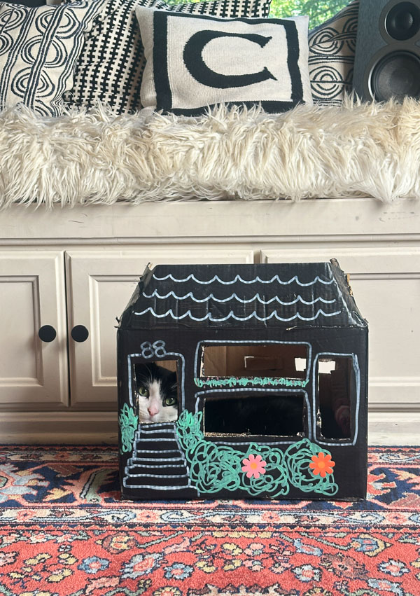 My Everyday Life Week 02 of 2026- Tracy Benjamin of Shutterbean.com