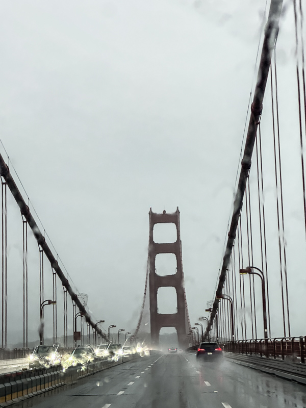 My Everyday Life Week 02 of 2026- Tracy Benjamin of Shutterbean.com