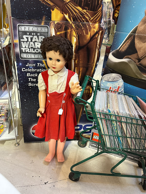 My Everyday Life Week 02 of 2026- Tracy Benjamin of Shutterbean.com