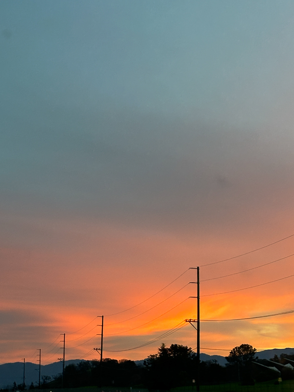 My Everyday Life Week 02 of 2026- Tracy Benjamin of Shutterbean.com