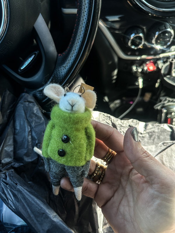 My Everyday Life Week 6 of 2026- Tracy Benjamin of Shutterbean.com