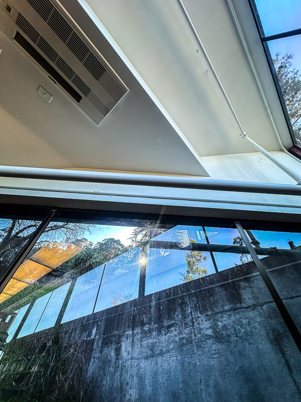 My Everyday Life Week 6 of 2026- Tracy Benjamin of Shutterbean.com