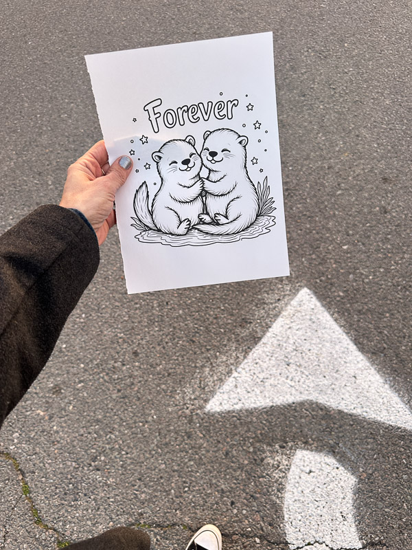 My Everyday Life Week 6 of 2026- Tracy Benjamin of Shutterbean.com