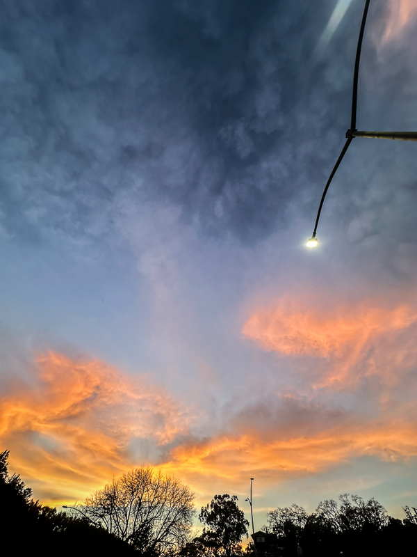 My Everyday Life Week 6 of 2026- Tracy Benjamin of Shutterbean.com