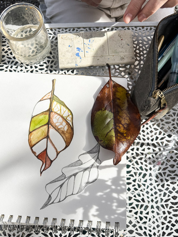 My Everyday Life Week 6 of 2026- Tracy Benjamin of Shutterbean.com