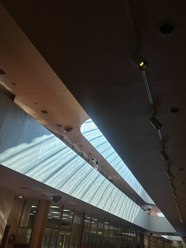 My Everyday Life Week 6 of 2026- Tracy Benjamin of Shutterbean.com