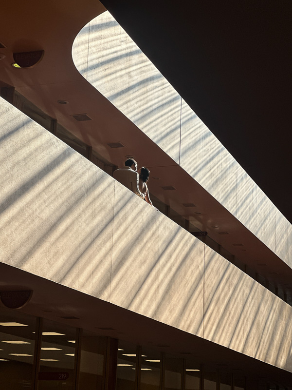 My Everyday Life Week 6 of 2026- Tracy Benjamin of Shutterbean.com