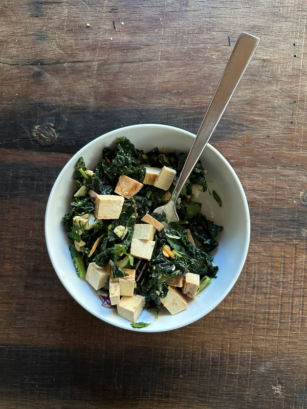 My Everyday Life Week 6 of 2026- Tracy Benjamin of Shutterbean.com