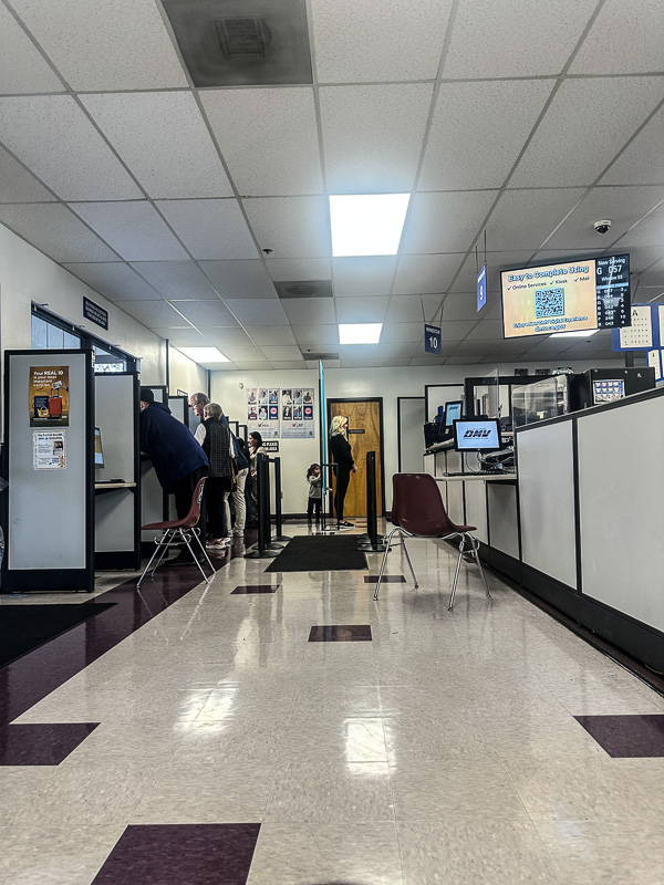 My Everyday Life Week 6 of 2026- Tracy Benjamin of Shutterbean.com