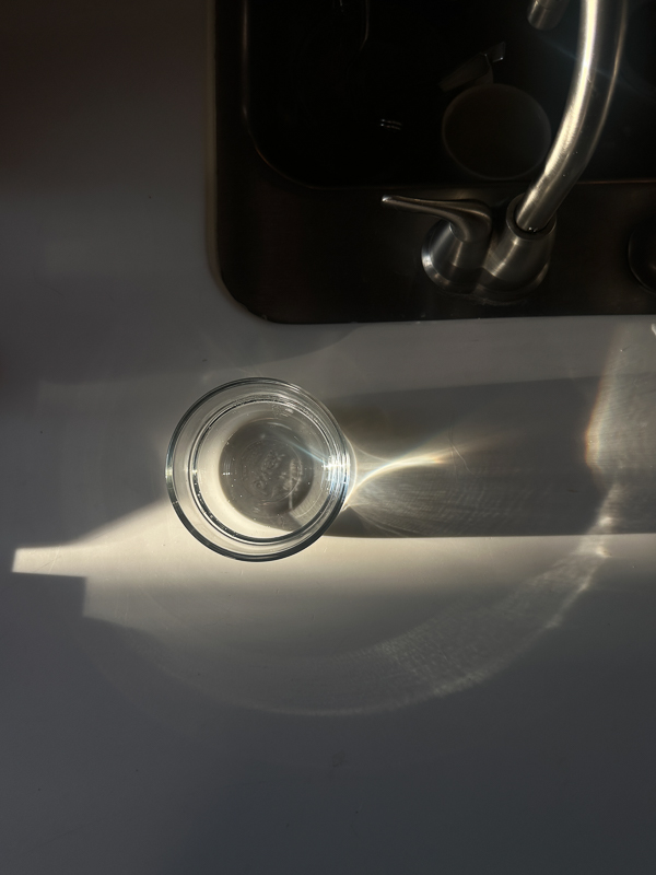 My Everyday Life Week 6 of 2026- Tracy Benjamin of Shutterbean.com