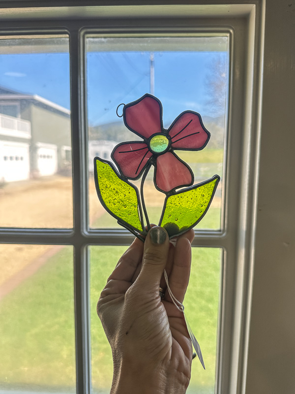 My Everyday Life Week 6 of 2026- Tracy Benjamin of Shutterbean.com