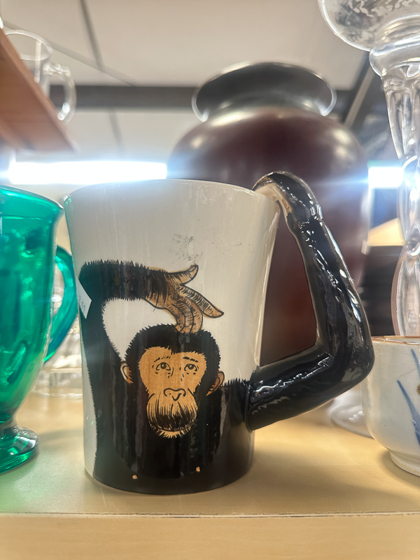 My Everyday Life Week 6 of 2026- Tracy Benjamin of Shutterbean.com