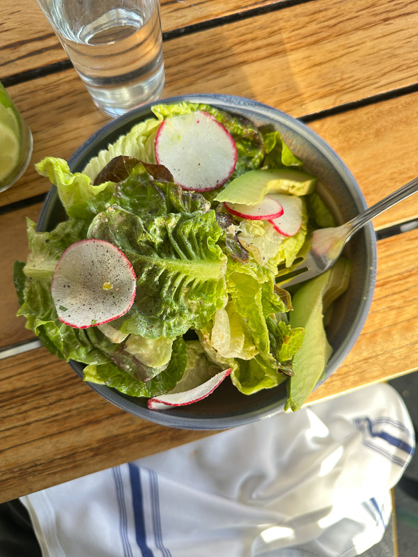 My Everyday Life Week 6 of 2026- Tracy Benjamin of Shutterbean.com