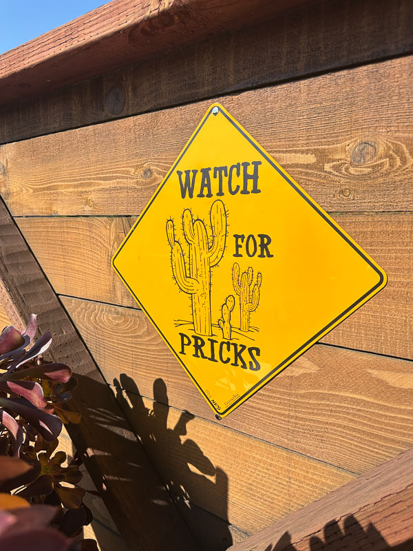 My Everyday Life Week 6 of 2026- Tracy Benjamin of Shutterbean.com