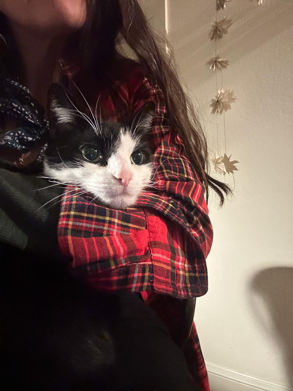 My Everyday Life Week 6 of 2026- Tracy Benjamin of Shutterbean.com