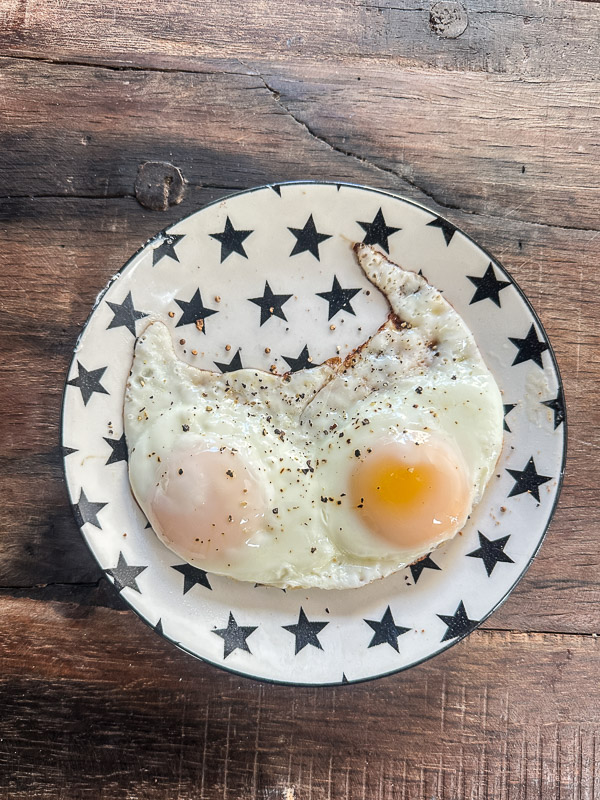 My Everyday Life Week 6 of 2026- Tracy Benjamin of Shutterbean.com